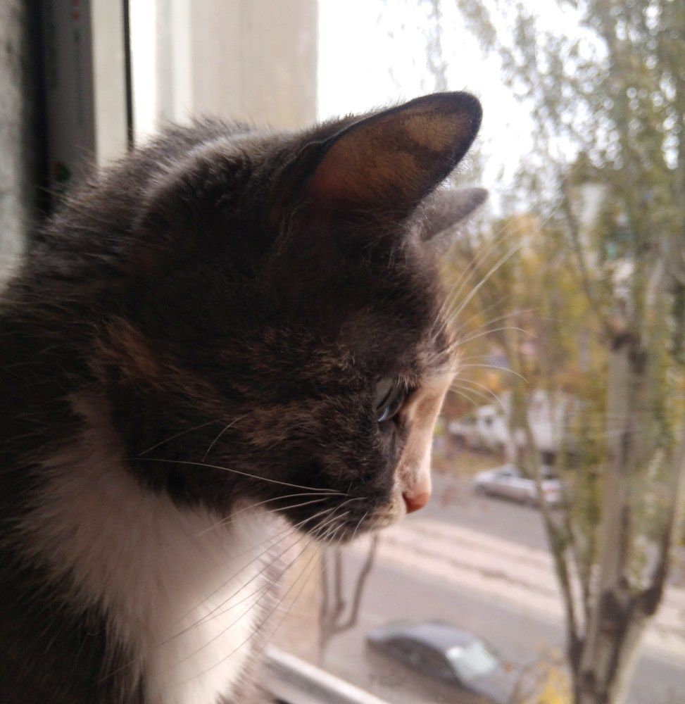 Фотография автора Анна