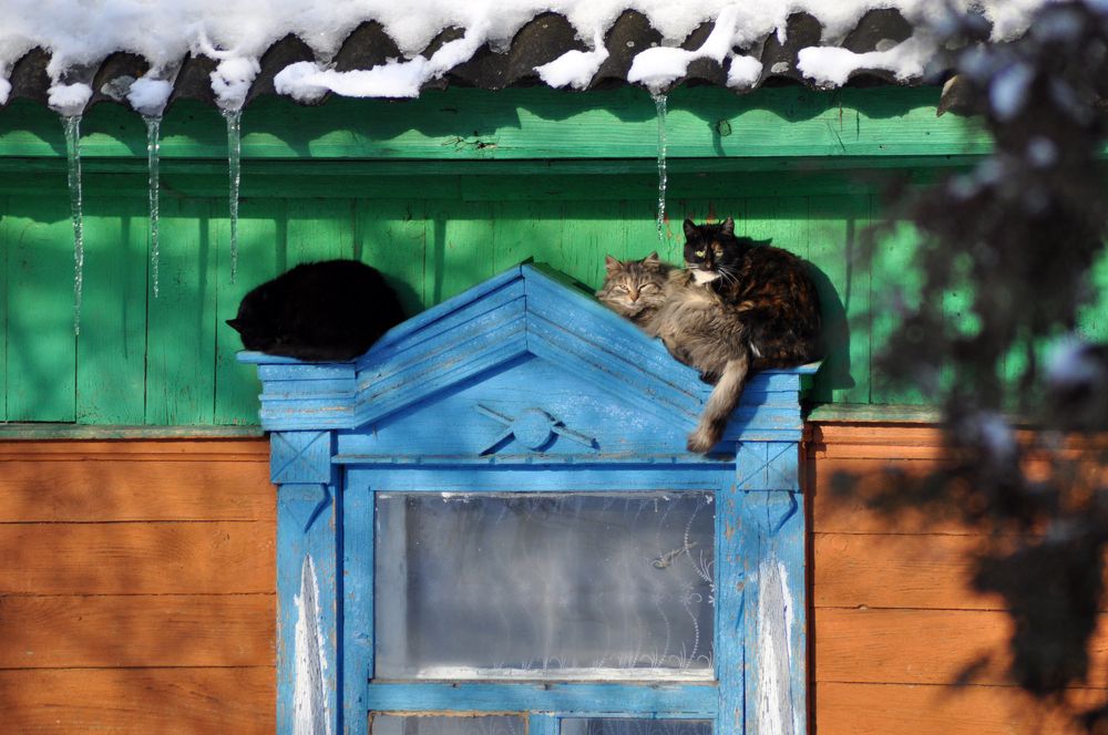 Photograph by Екатерина Молчанова