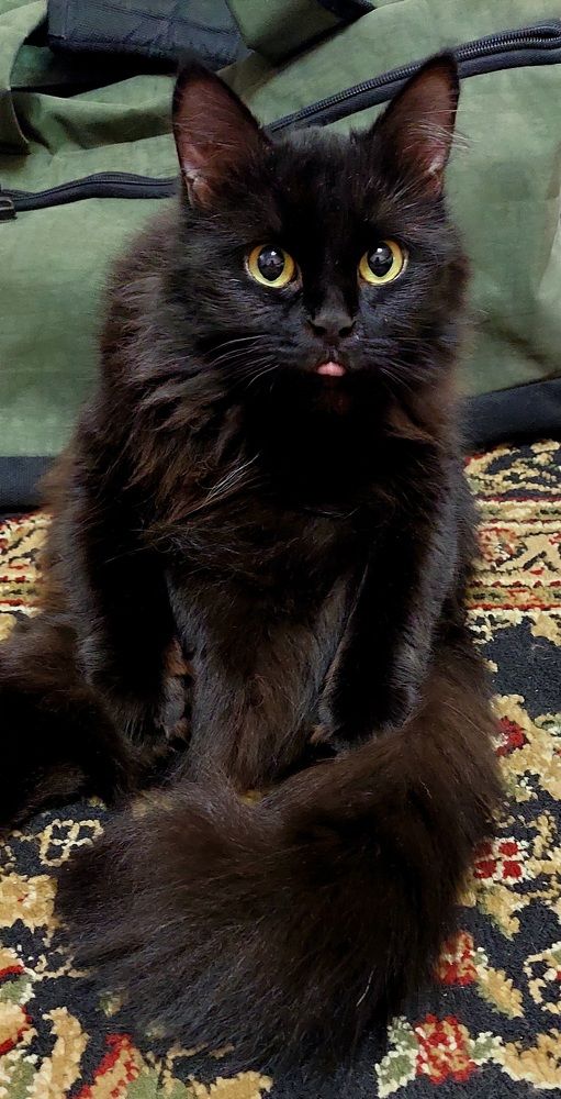 Photograph by Наталия Степовая