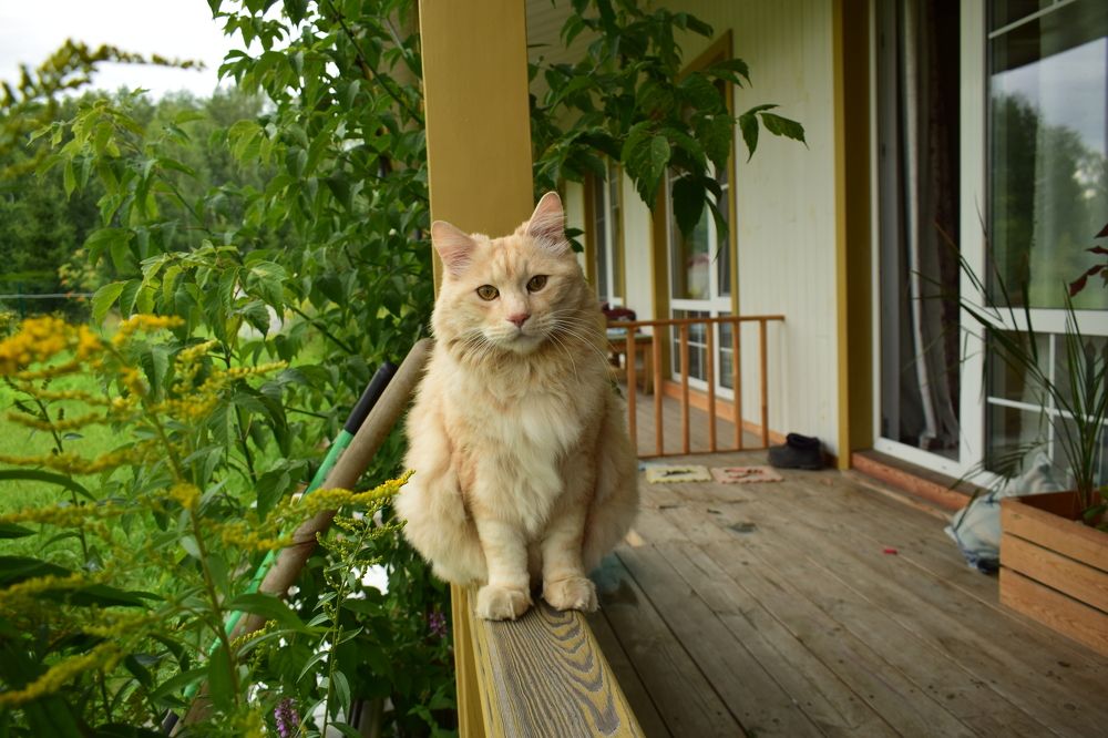 Photograph by Наталья Еременко