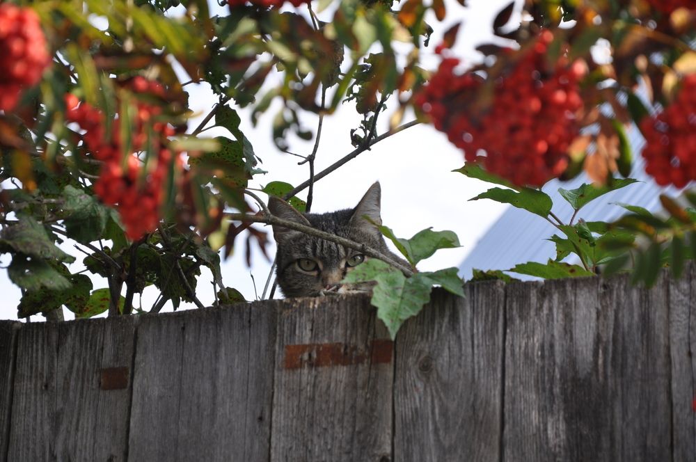 Photograph by Екатерина Молчанова