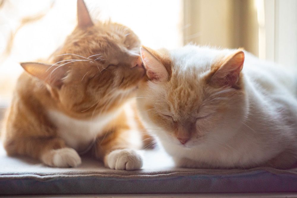 Photograph by Рина