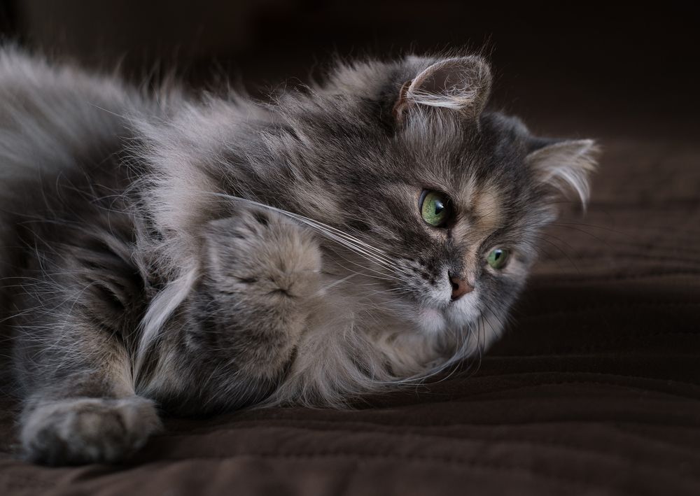 Photograph by Михеева Светлана