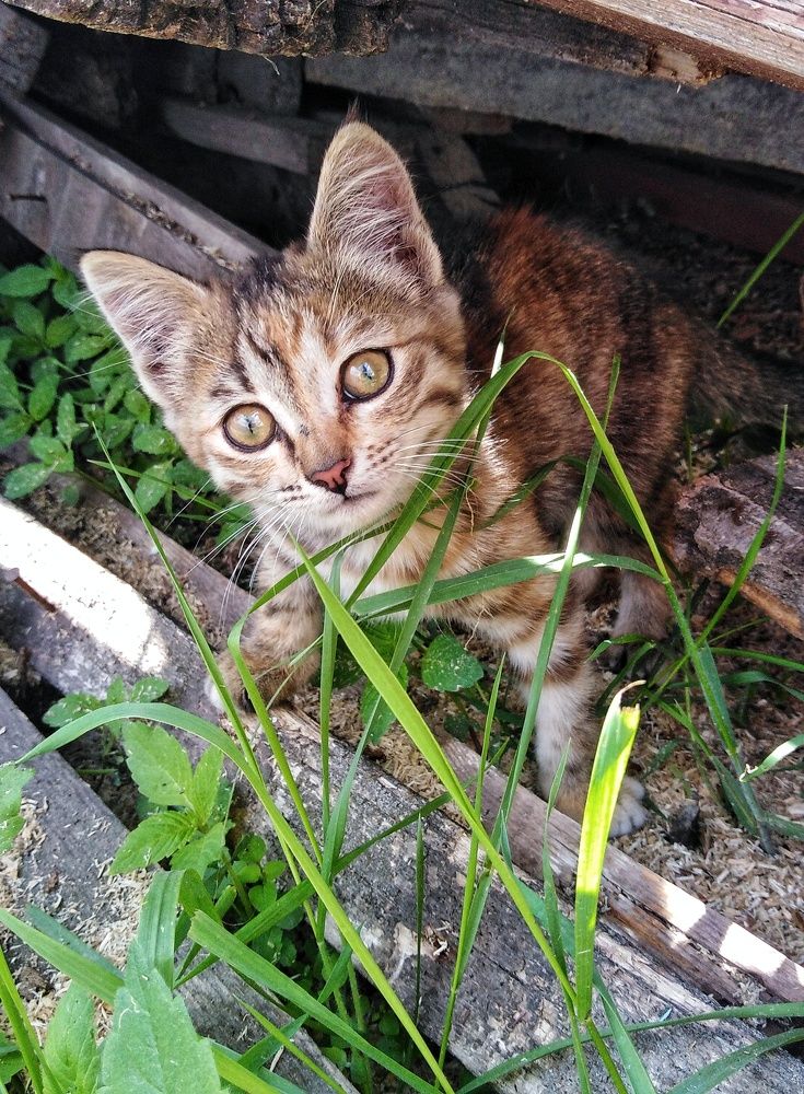 Photograph by Владимир Сушкин