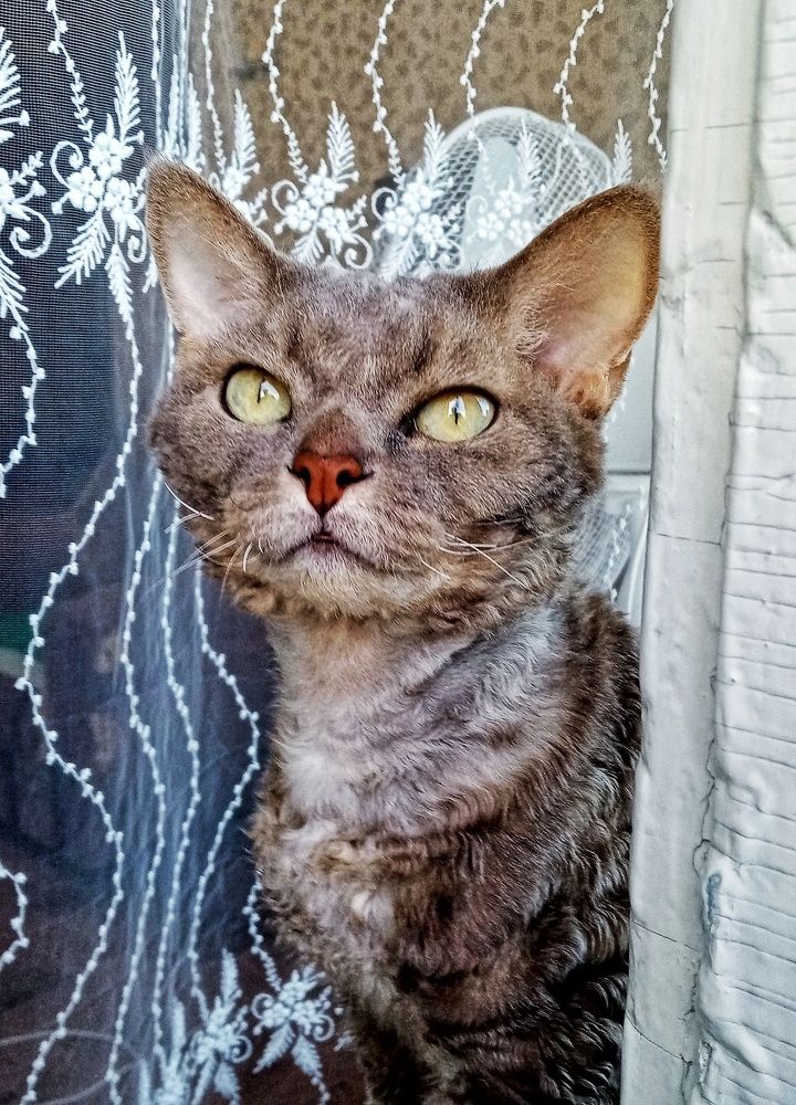 Photograph by Владимир Сушкин