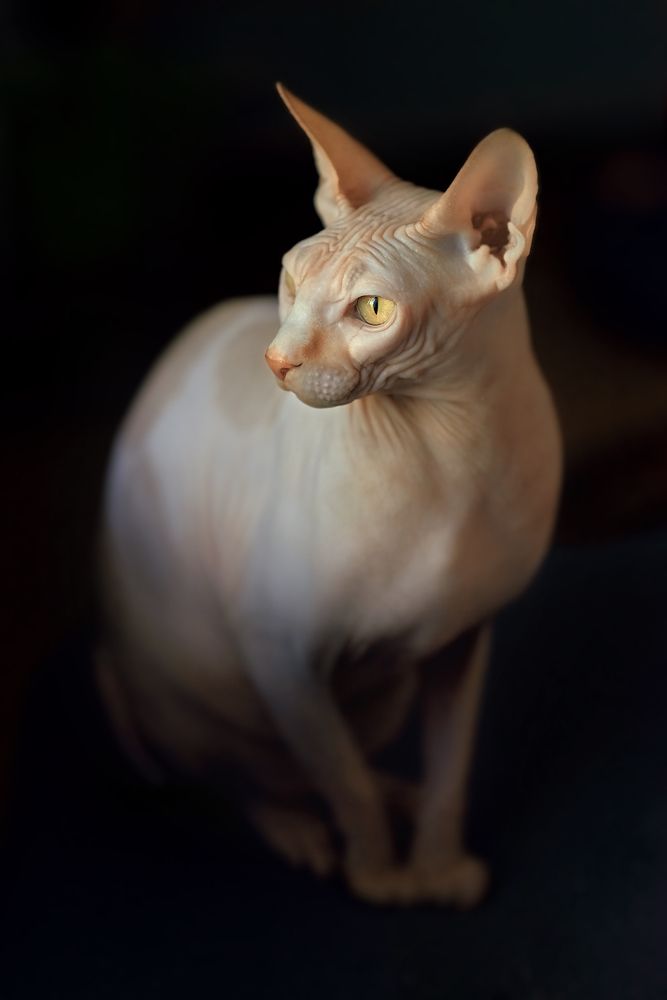 Photograph by Глебова Екатерина