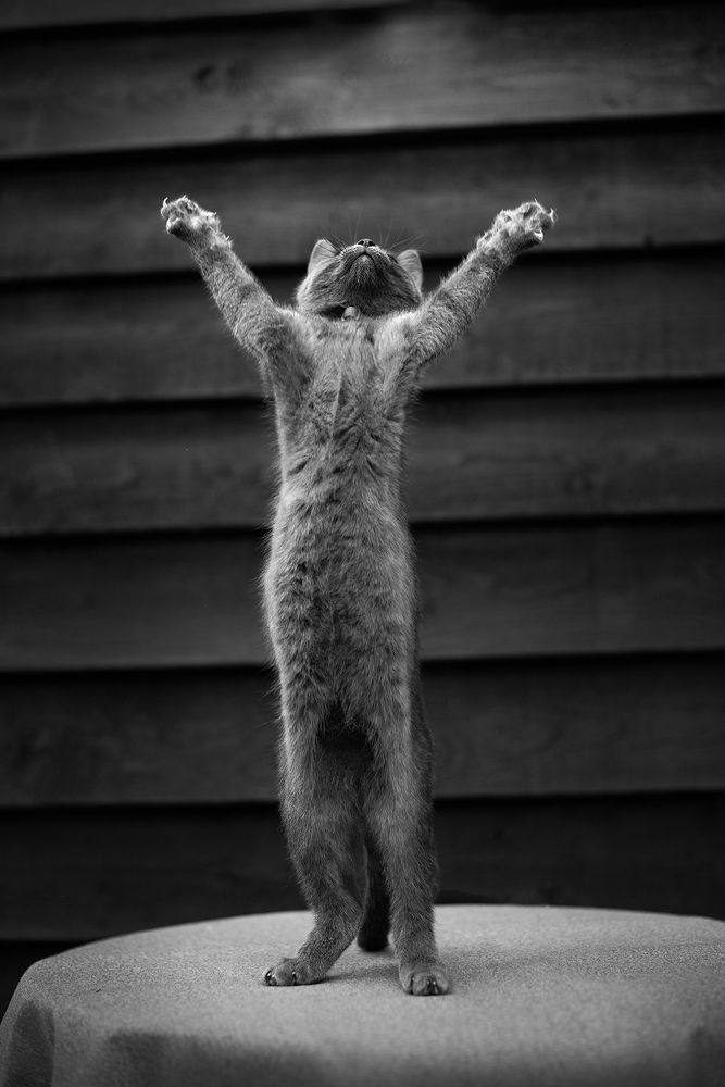 Photograph by Annette Hagemeijer