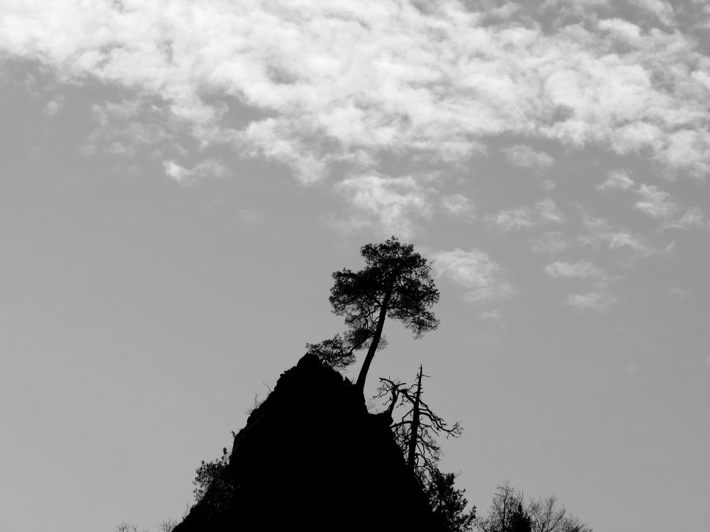 Photograph by Левин Арсений Андреевич