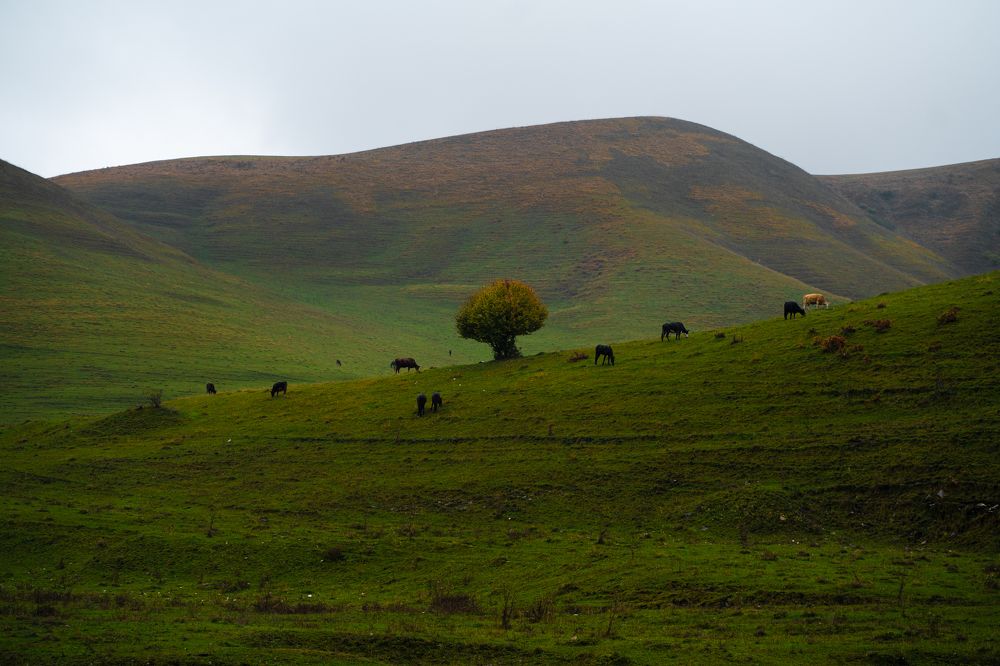 Photograph by Ксения Часова