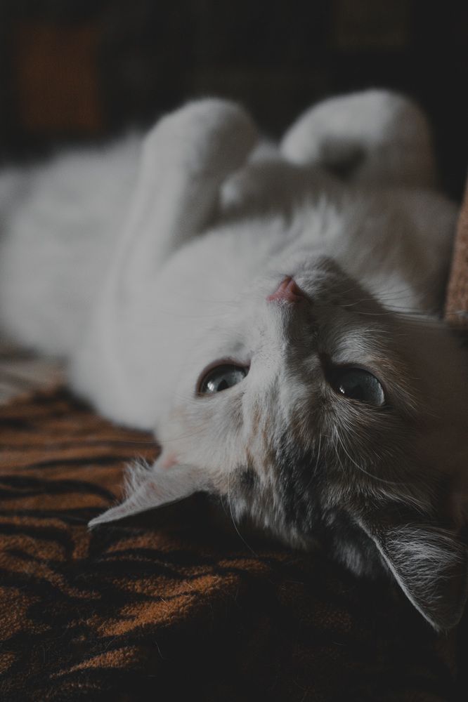 Photograph by Константин Россихин