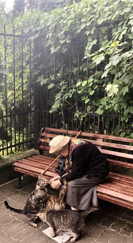 Photograph by Александра Акси