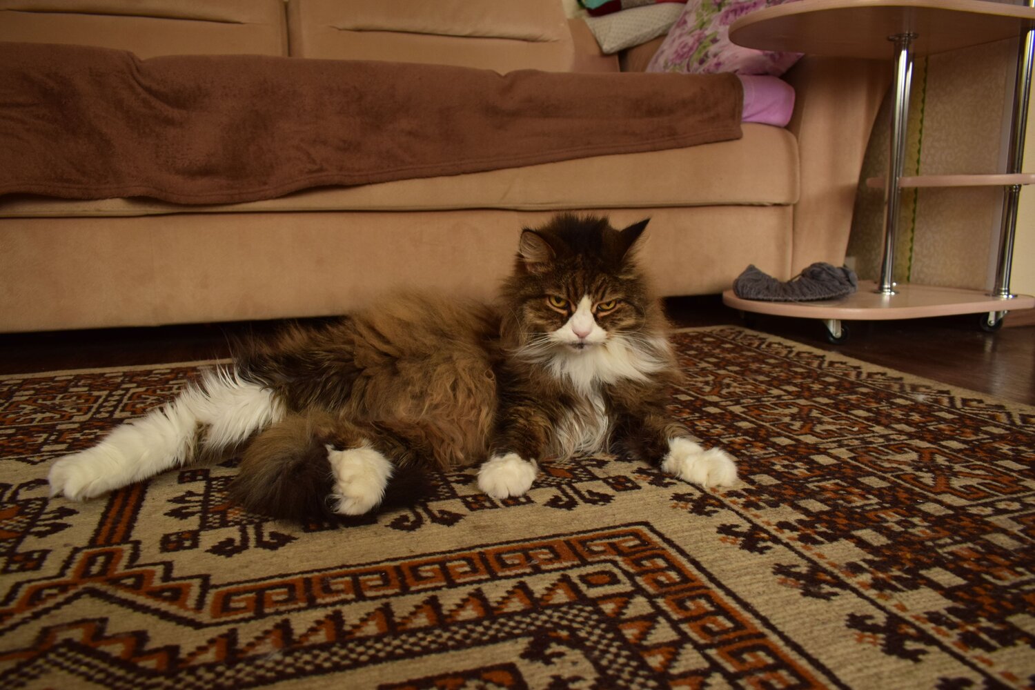 Photo #8640690