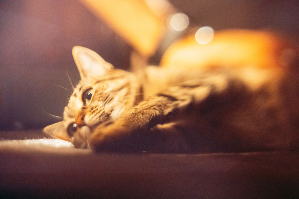 Photograph by Валерия Паули