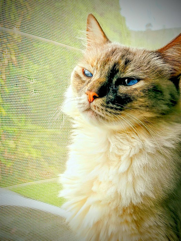 Photograph by samuel celegatti