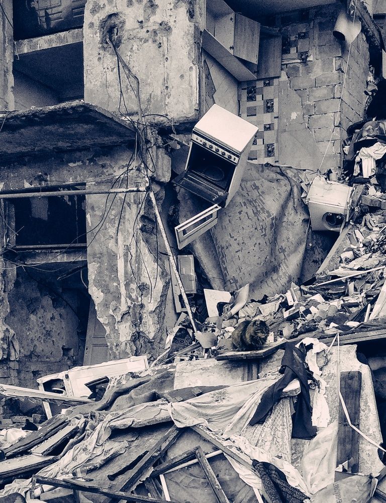 Фотография автора Анна