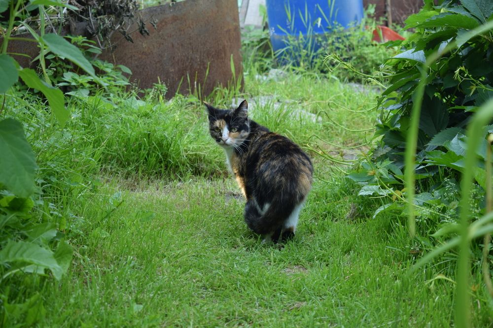 Photograph by Наталья Еременко