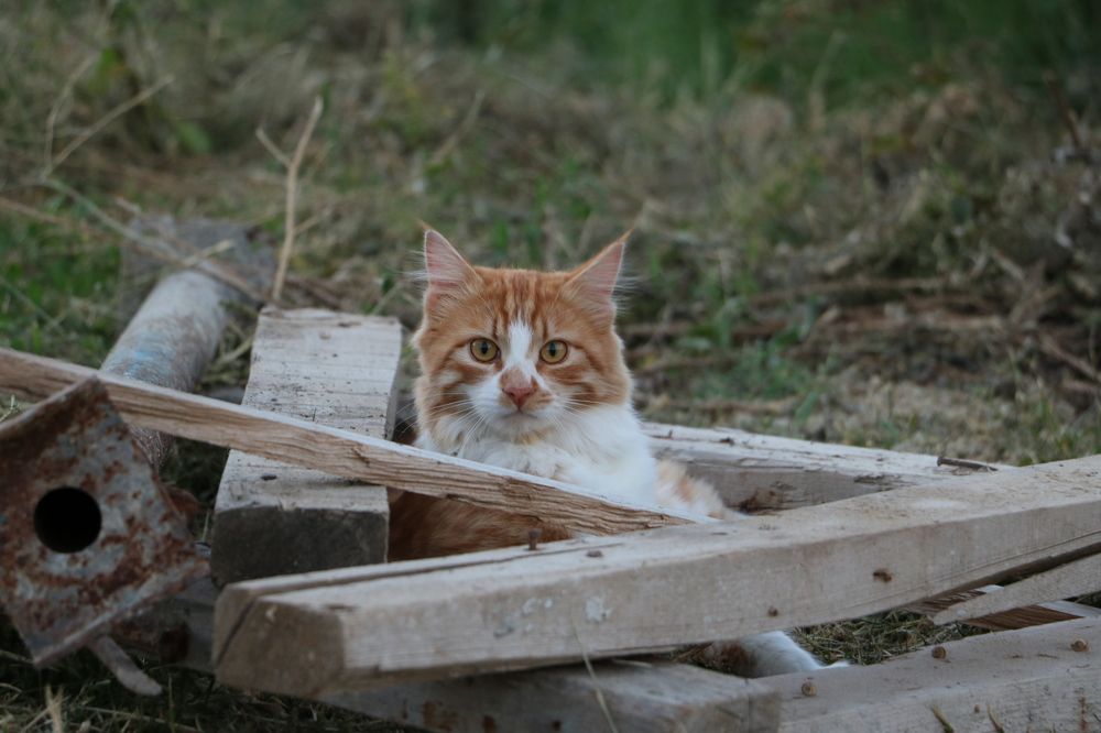 Photograph by Cengiz Yalcin