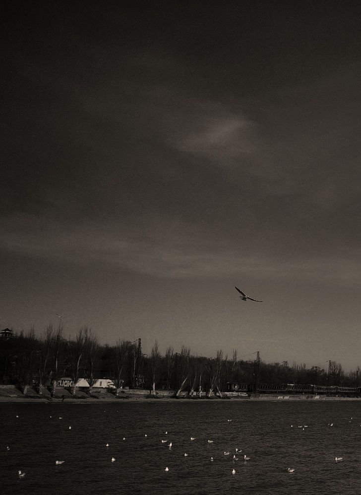 Фотография автора Анна