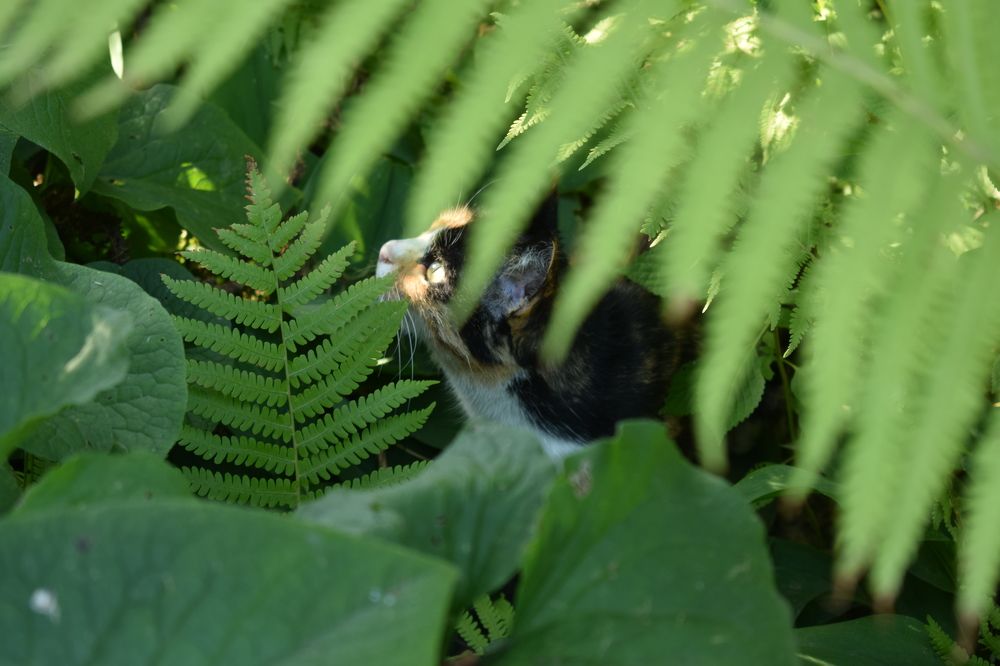 Photograph by Наталья Еременко