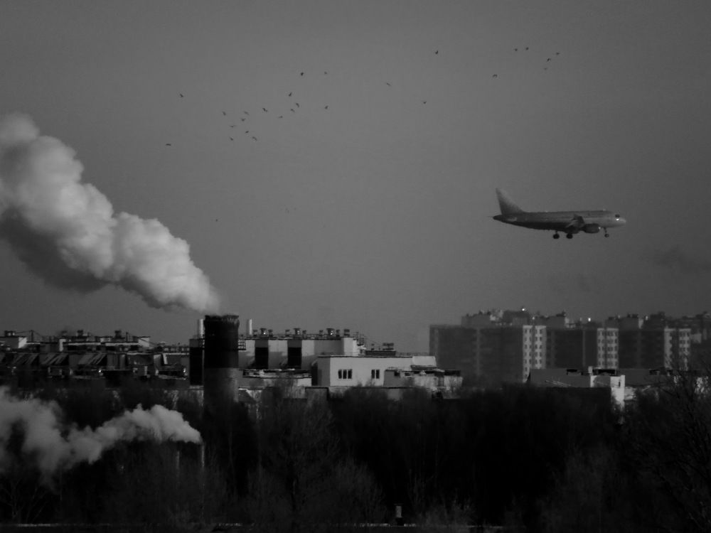 Photograph by Левин Арсений Андреевич
