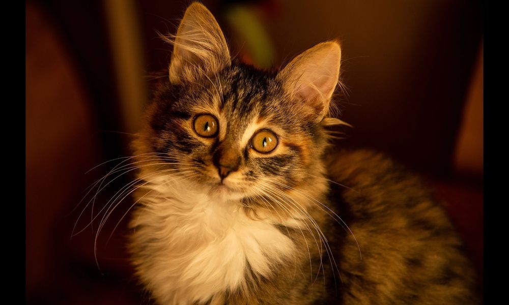 Photograph by Владимир