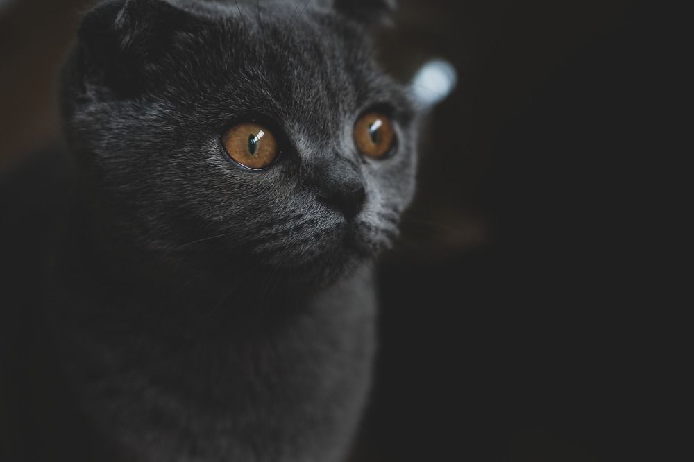 Photograph by Роман Алексеев