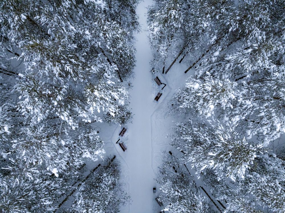 Photograph by Гончаренко Денис
