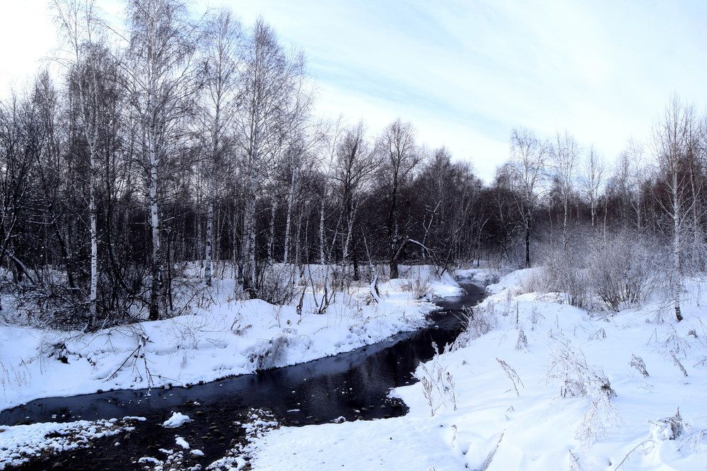 Photograph by Svetlana Korogod