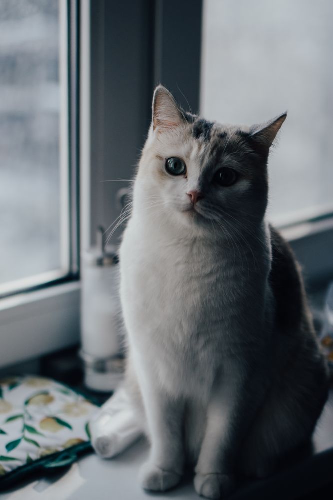 Photograph by Константин Россихин