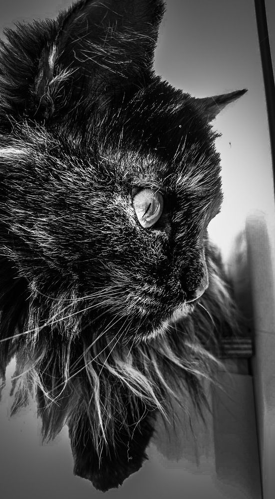 Фотография автора Карина Гурова