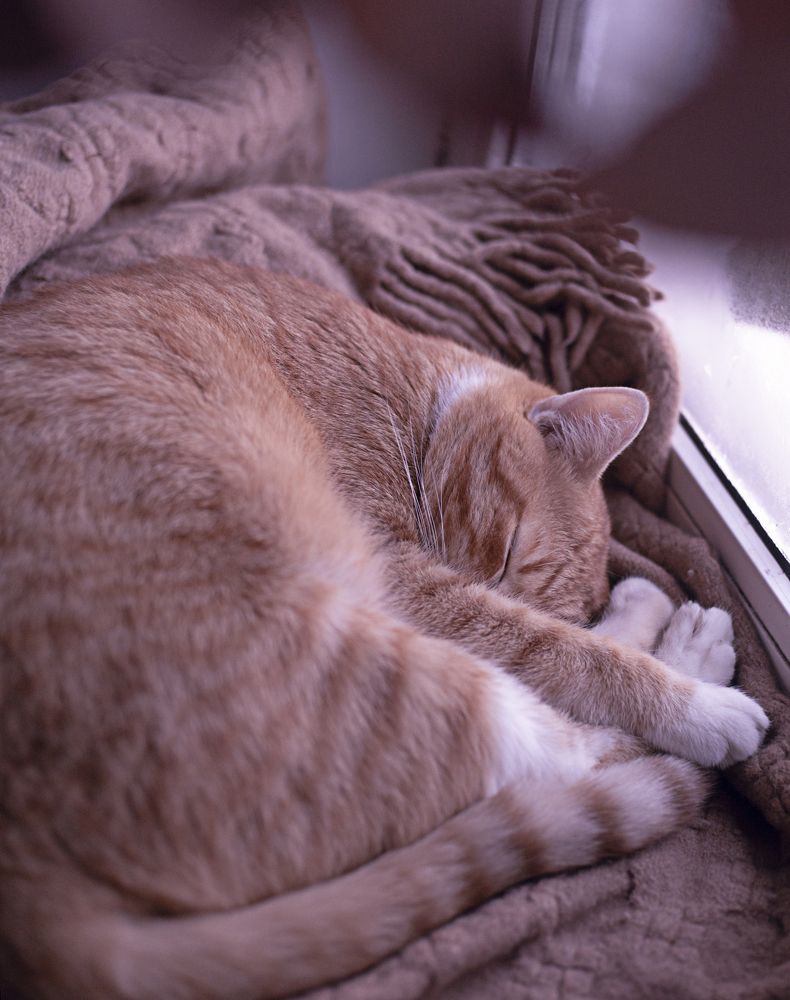 Photograph by Татьяна Кучерова