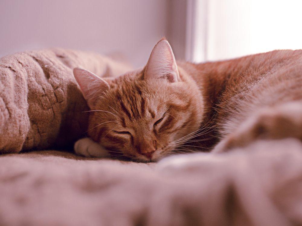 Photograph by Татьяна Кучерова