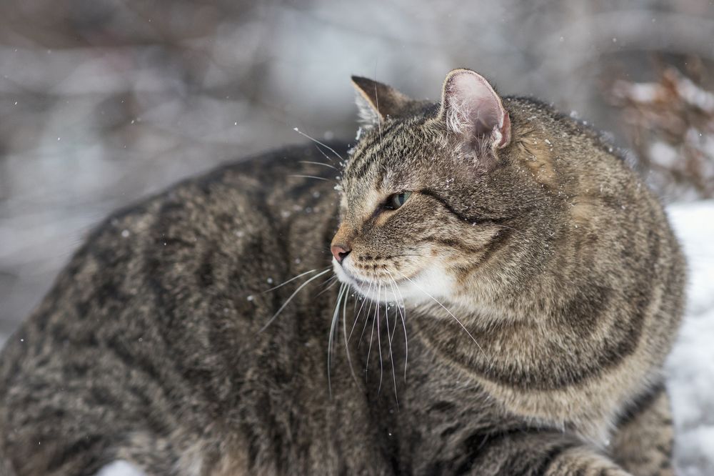 Photograph by Олеся Ерошенко