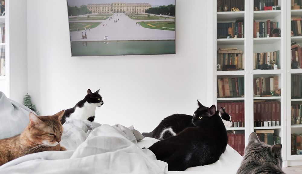 Photograph by Надежда Разводовская