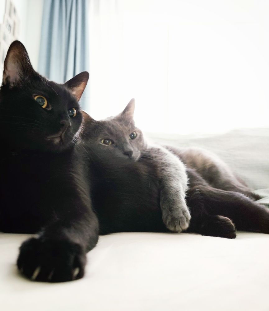 Photograph by Надежда Разводовская