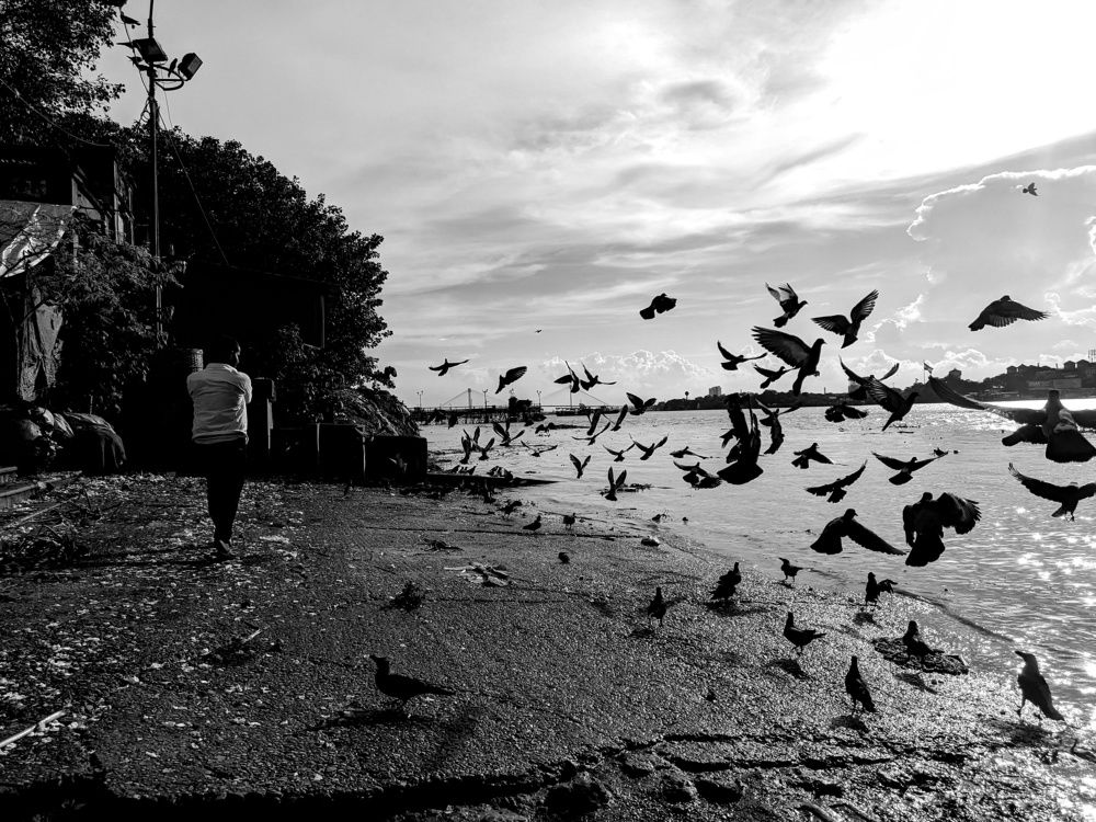 Photograph by Trishik Bose