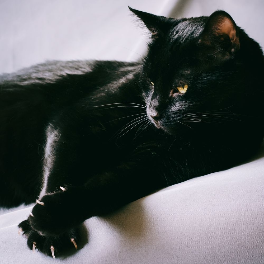 Photograph by Надежда Разводовская