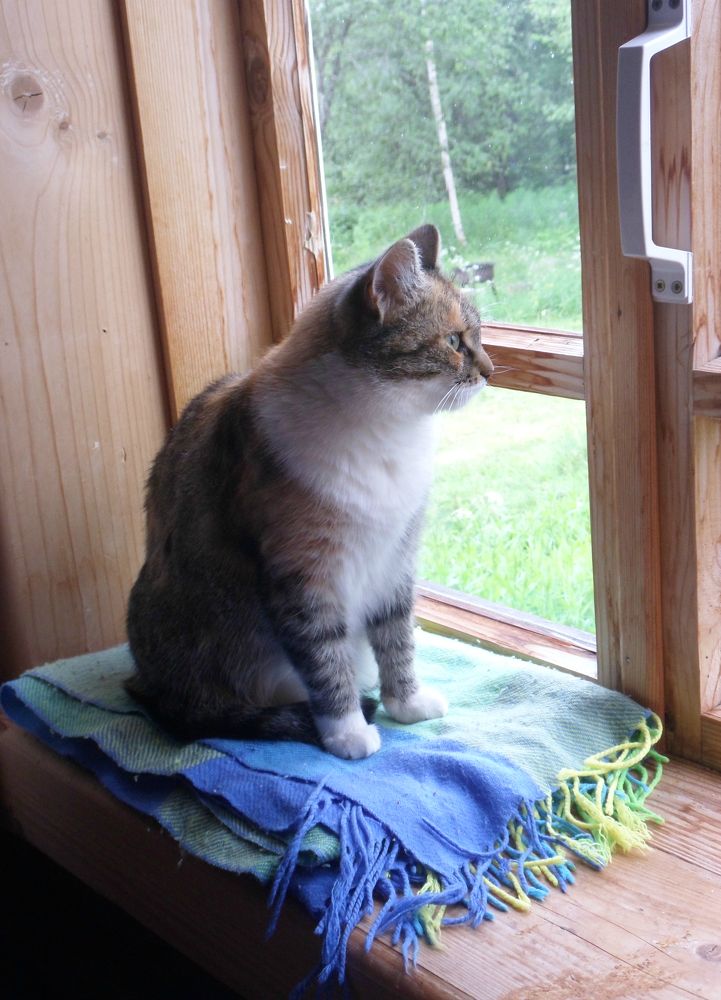 Photograph by Маша Худякова