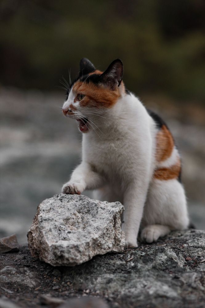 Photograph by Владислав Данилов