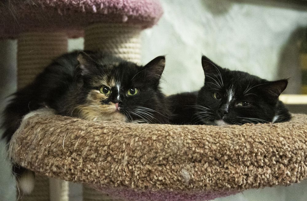 Photograph by Екатерина Екатерина