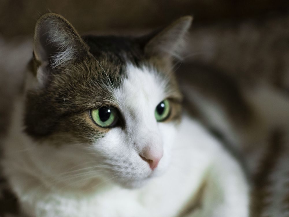 Photograph by Екатерина Екатерина