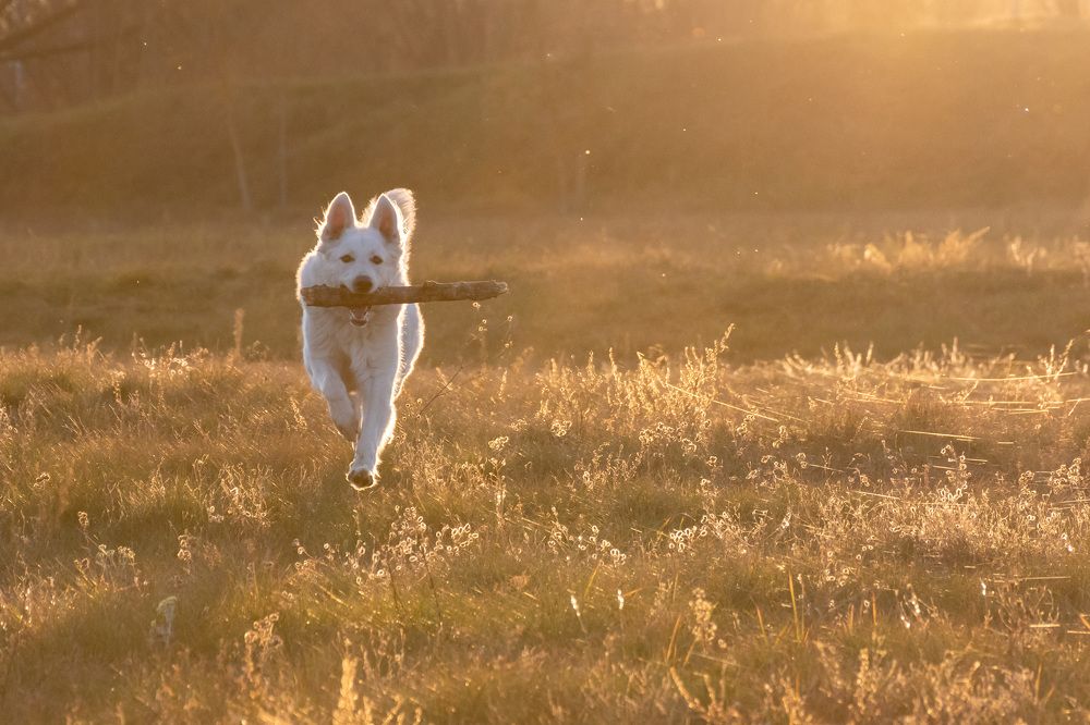 Photograph by Anton Leonchikov