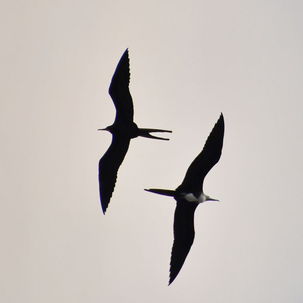 Photograph by Marzio Fattorini