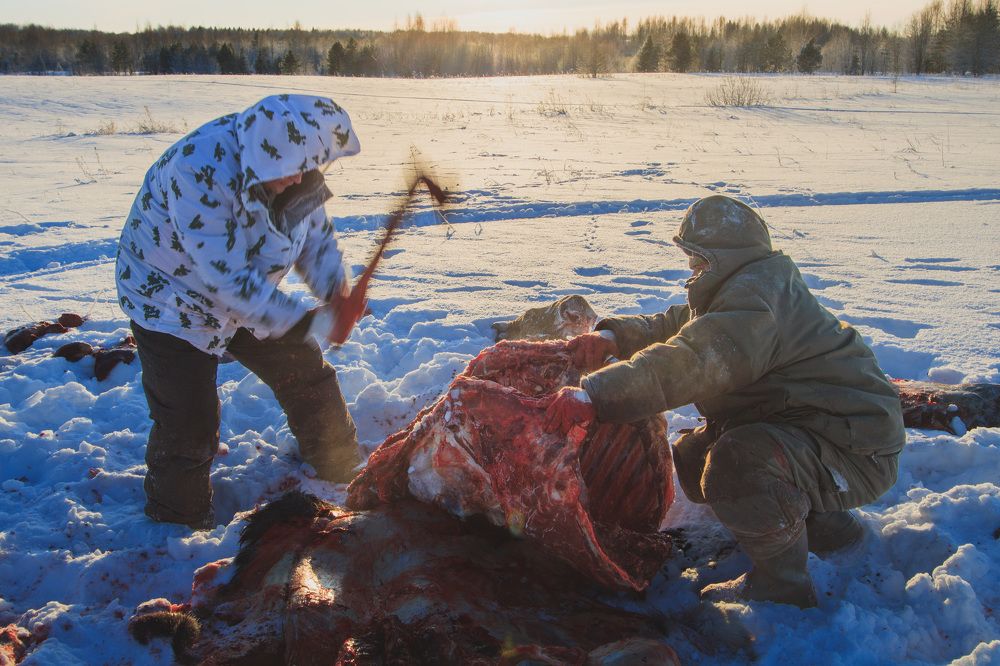 Photograph by NIKITA LUFEROV