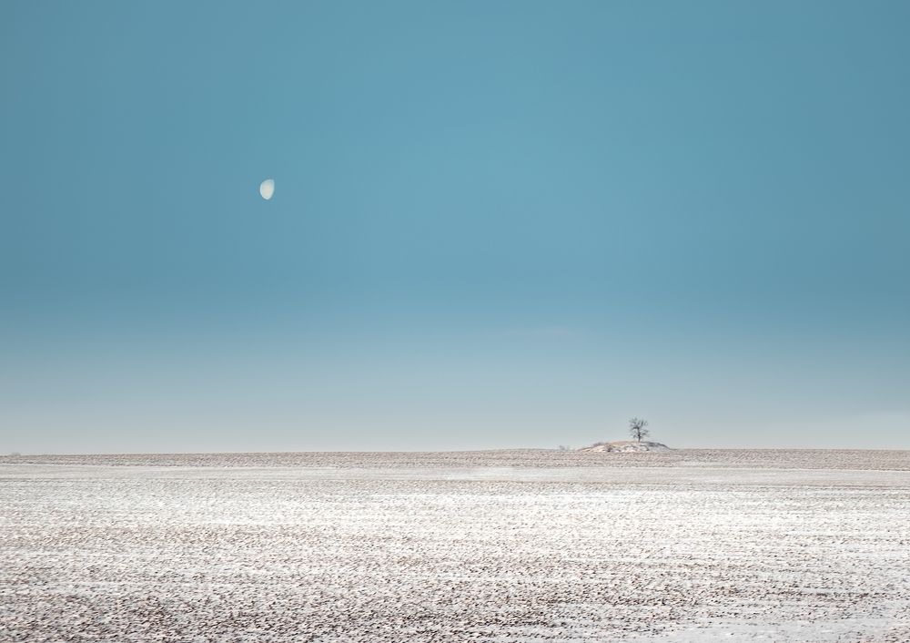 Photograph by Сергей Степанов