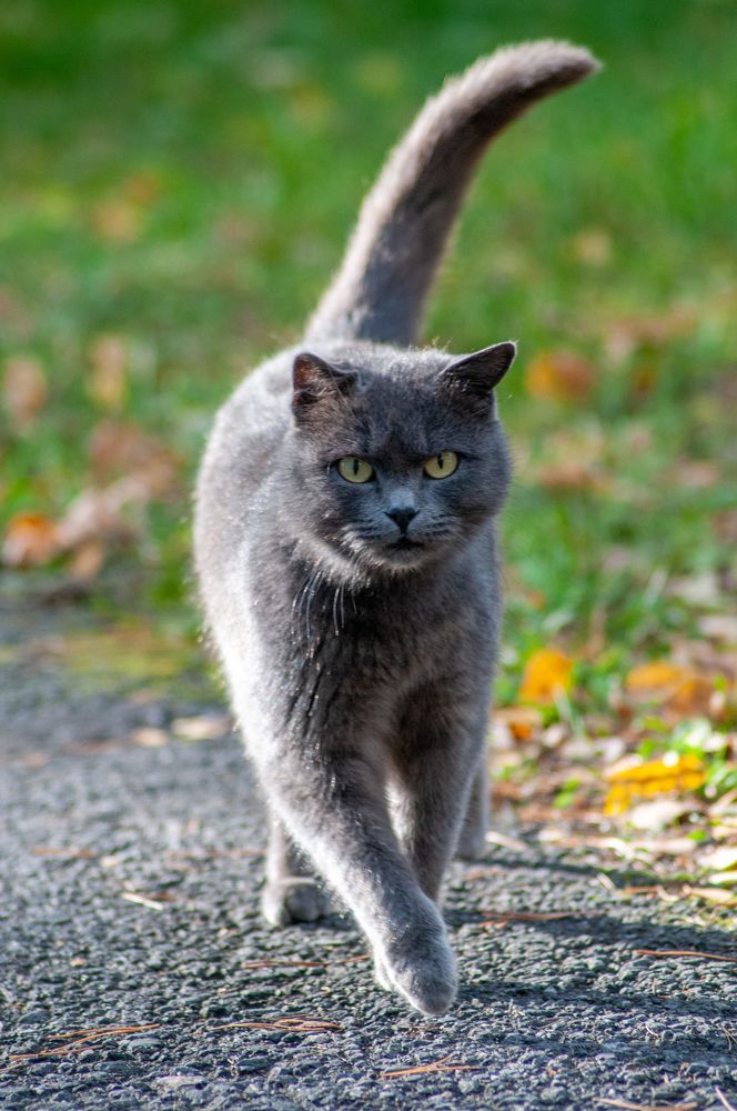 Фотография автора Виталий Гавронский