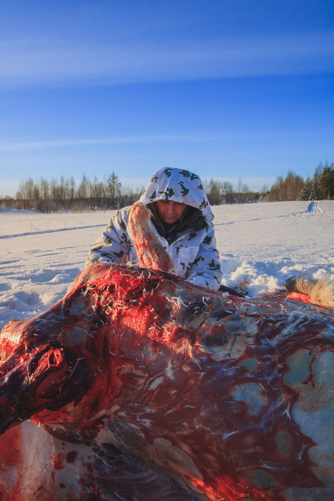 Photograph by NIKITA LUFEROV