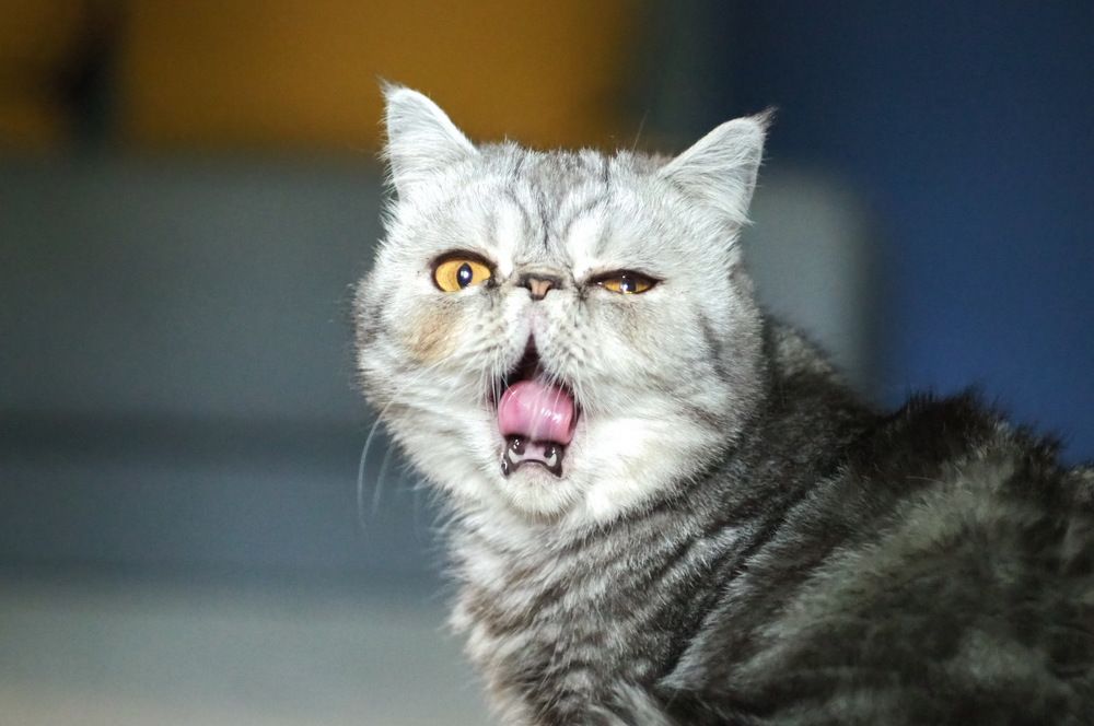 Photograph by Татьяна Шевченко