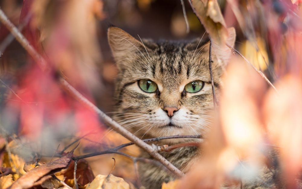 Photograph by Константин Искучеков