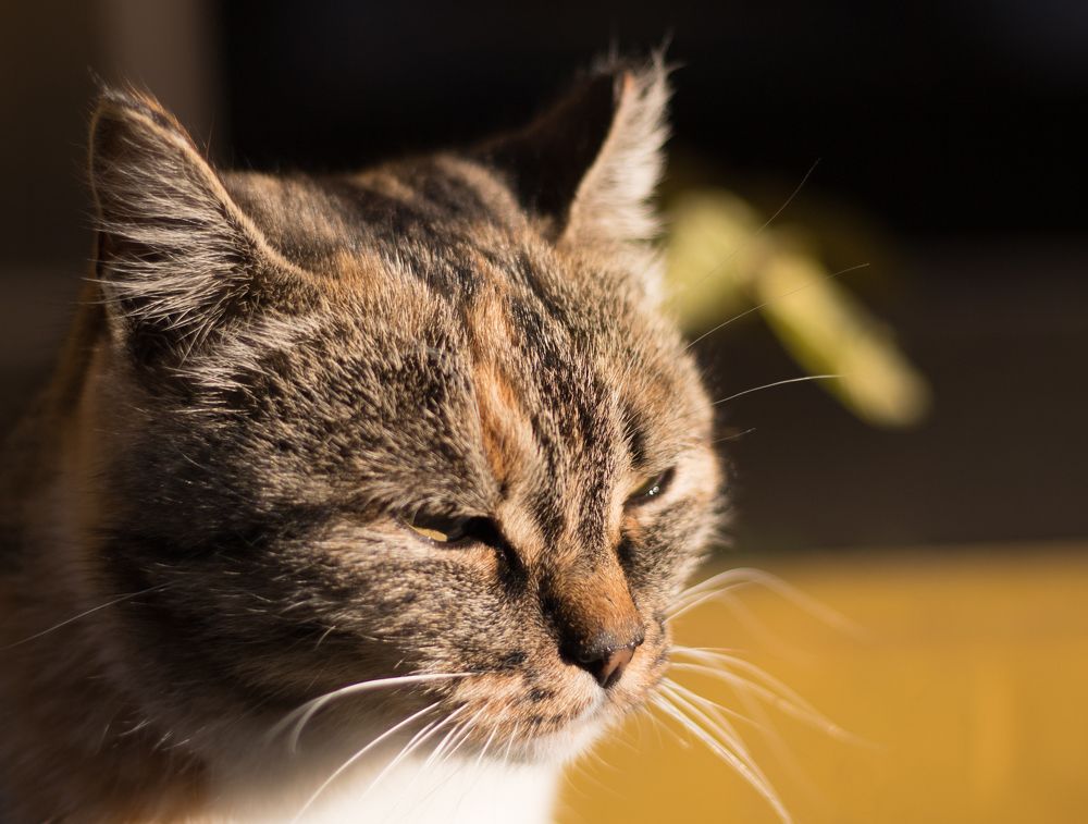 Photograph by Константин Искучеков